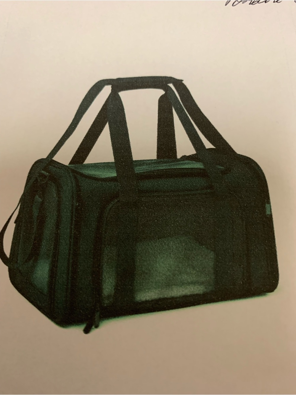 Henkelion pet carrier for up to 15lbs.  Black